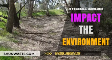 Ecological Disturbances: Unraveling Their Profound Impact on Our Environment
