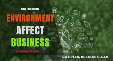 How Ecological Environments Shape Business Strategies and Sustainability