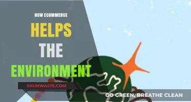 Ecommerce's Green Impact: Sustainable Shopping for a Healthier Planet