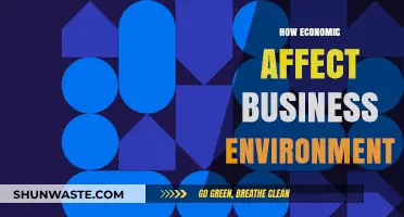 Economic Shifts: Impact on Business Environment and Strategic Adaptation