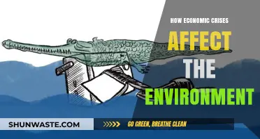Economic Crises and Environmental Impact: A Complex Relationship Explored