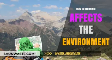 Ecotourism's Environmental Impact: Balancing Conservation and Sustainable Travel