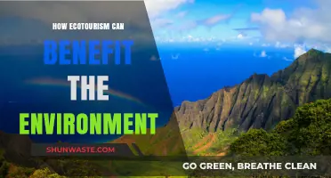 Ecotourism's Environmental Impact: Sustainable Travel for a Greener Future