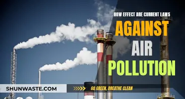 Air Pollution Laws: Effective or Not?