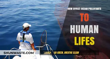 Ocean Pollution: A Human Health Crisis