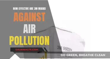 Are 3M Masks Effective Shields Against Air Pollution?