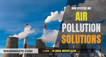 Air Pollution Solutions: Effective or Just a Band-Aid?