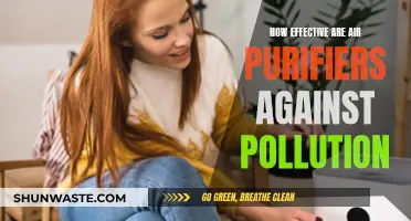 Air Purifiers: Effective Pollution Solution?