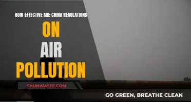 China's Air Pollution: Do Regulations Breathe Life?