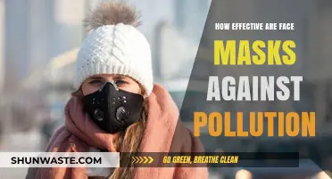 Face Masks: Effective Pollution Protection?