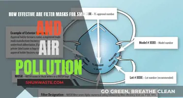 Are Filter Masks Effective Against Smoke and Pollution?