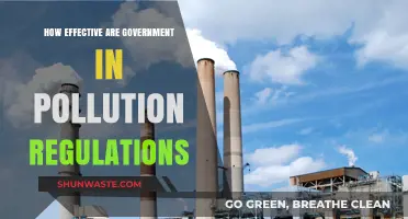 Governments' Pollution Regulations: Effective or Not?