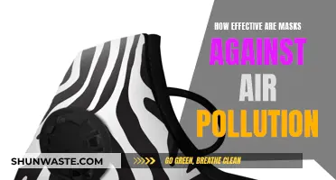 Masks: Effective Shields Against Air Pollution?