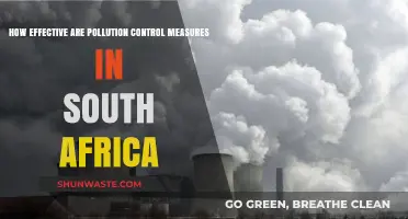 South Africa's Pollution Control: Effective Strategies and Measures