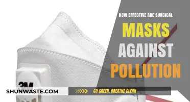 Surgical Masks: Effective Pollution Protection?