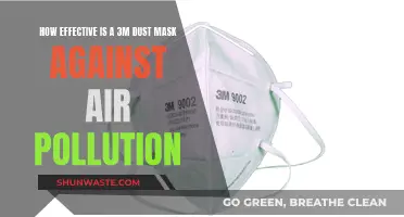 Dust Masks: Effective Shield Against Air Pollution?