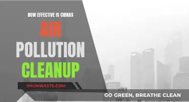 China's Air Pollution Cleanup: Effective Strategies and Results