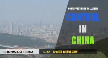 China's Pollution Control: Effective Strategy or Futile Effort?