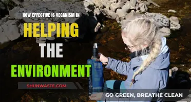 Veganism's Environmental Impact: A Sustainable Solution or Overhyped Trend?