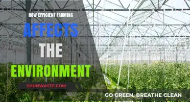 Sustainable Farming: How Efficiency Benefits the Environment and Future Generations