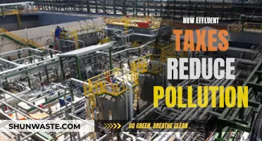 Green Taxes: Reducing Pollution with Effluent Charges