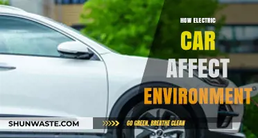 Electric Cars: Environmental Impact and Sustainable Transportation Revolution