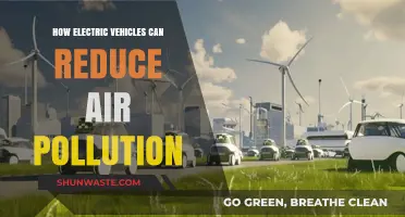 Green Revolution: Electric Vehicles Lead the Way to Cleaner Air