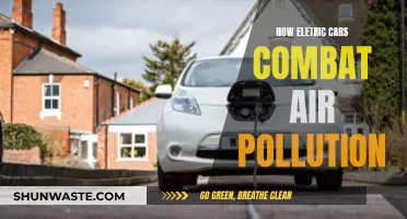 Electric Cars: Fighting Air Pollution