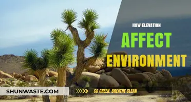 Elevation's Impact: Shaping Ecosystems, Climate, and Biodiversity Across Landscapes