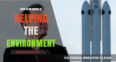 Elon Musk's Green Revolution: Sustainable Innovations for a Better Planet
