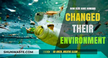 Human Impact: Transforming Ecosystems, Climate, and Landscapes Beyond Recognition
