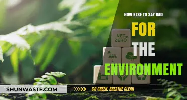 Eco-Unfriendly Alternatives: Exploring Synonyms for Environmentally Harmful Practices
