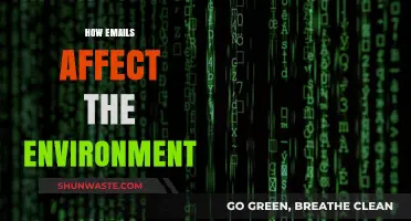 The Hidden Environmental Impact of Your Daily Email Habits