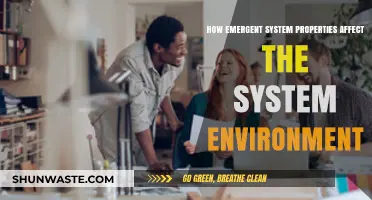 Emergent System Properties: Shaping and Transforming the System Environment