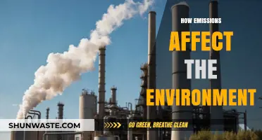 Emissions' Impact: Unveiling Environmental Consequences and Urgent Solutions