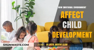 Emotional Environments: Shaping Child Development and Lifelong Well-Being
