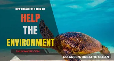 Endangered Species: Vital Roles in Sustaining Our Ecosystem's Health