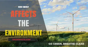 Energy's Environmental Impact: Exploring Consequences and Sustainable Solutions