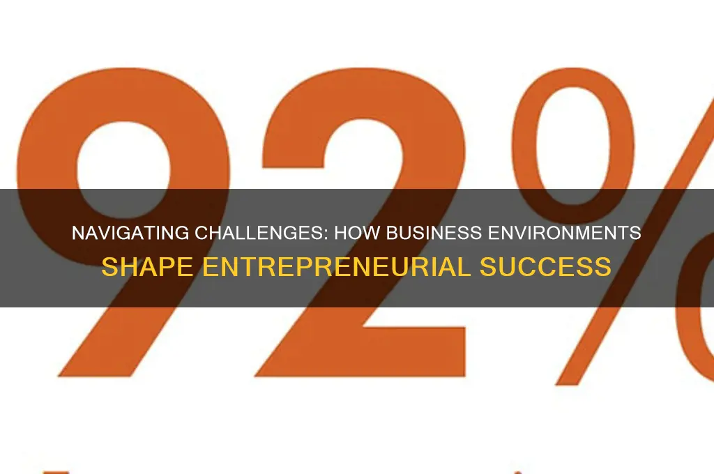 how entrepreneurs are affected by the business environment