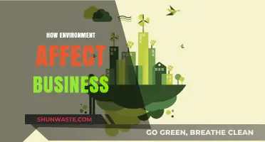 Environmental Impact on Business: Strategies for Sustainable Growth and Success