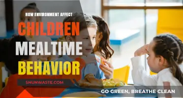 Environment’s Impact on Children’s Mealtime Behavior: Insights and Strategies