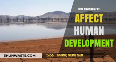 Environmental Influences on Human Growth: Shaping Lives and Futures