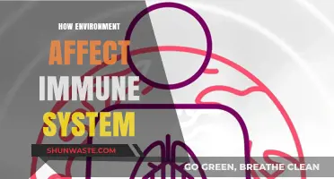 Environmental Factors Shaping Immunity: How Surroundings Impact Your Immune System