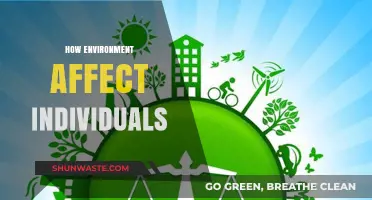 Environmental Influences: Shaping Personalities, Health, and Daily Lives of Individuals