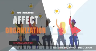 Environmental Impact on Organizational Success: Key Factors and Strategies