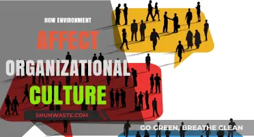 Environmental Influences: Shaping Organizational Culture and Workplace Dynamics