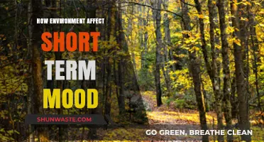 Surroundings and Emotions: How Environment Shapes Your Short-Term Mood