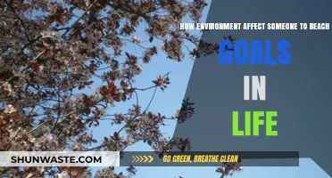 Environment's Impact: Shaping Paths to Achieve Life Goals Effectively