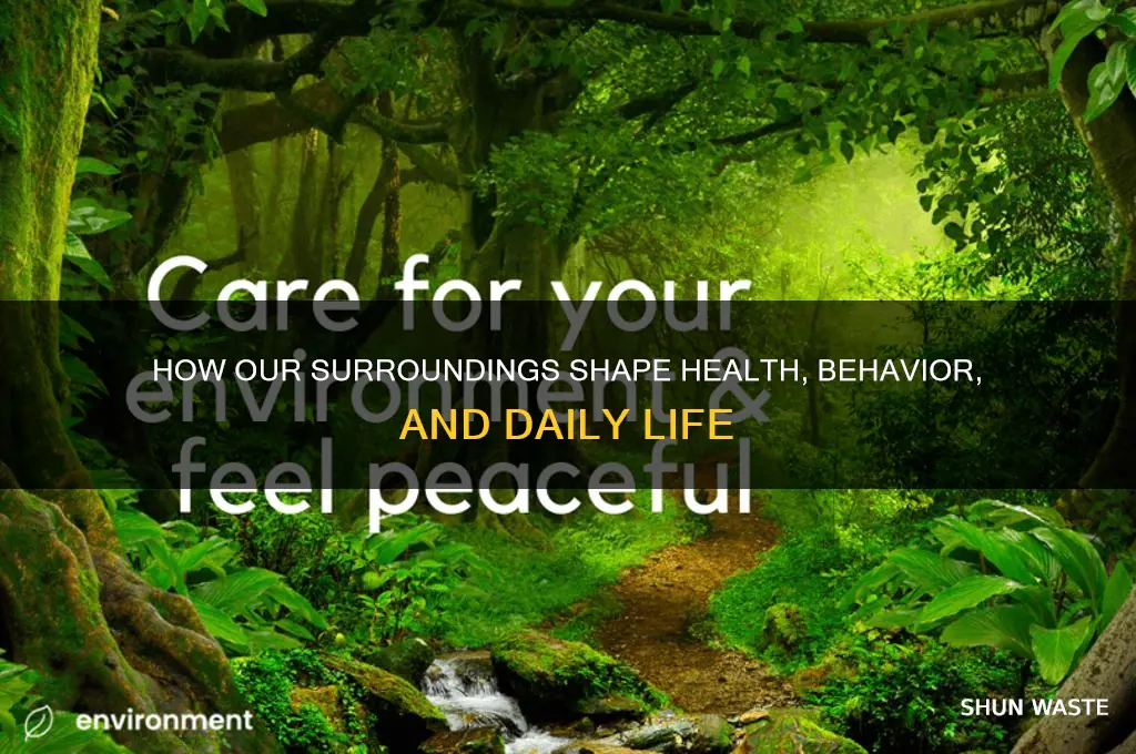 how environment affect us
