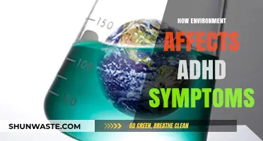 Environmental Factors: Unraveling Their Impact on ADHD Symptoms and Management